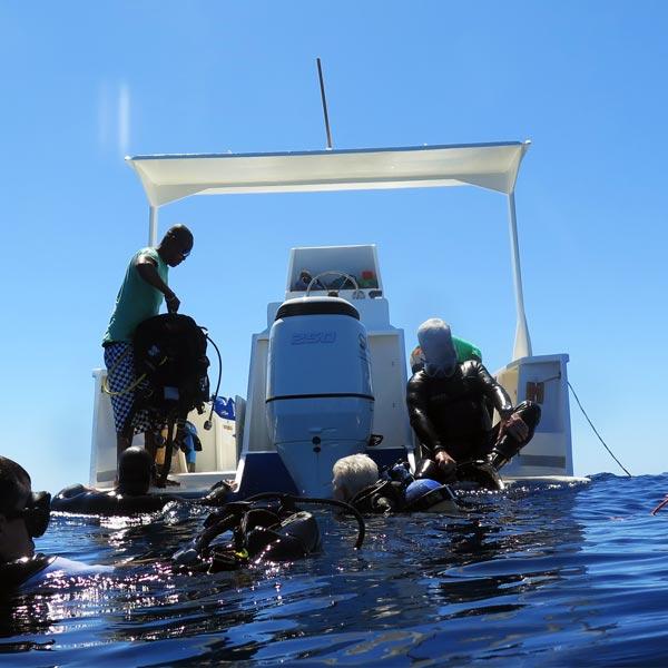 Manta Dive Club - Imbarcazioni - Kali