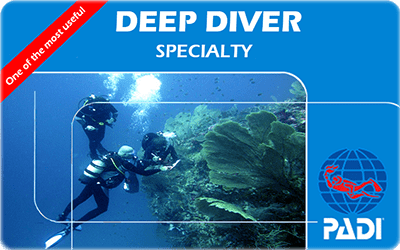 Manta Diving Nosy Be - Corsi - Deep Diver