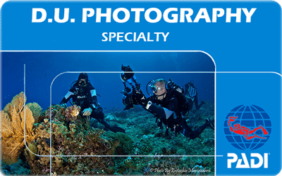 Manta Diving Nosy Be - Corsi - Digital Underwater Photography
