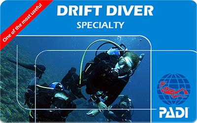 Manta Diving Nosy Be - Corsi - Drift Diver