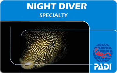 Manta Diving Nosy Be - Corsi - Night Diver