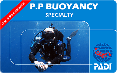 Manta Diving Nosy Be - Corsi - Peack Performance Buoyancy