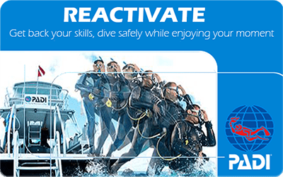 Manta Diving Nosy Be - Corsi - Reactivate