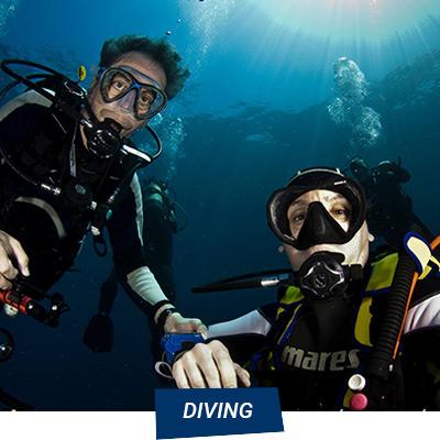 Manta Diving Nosy Be - Diving