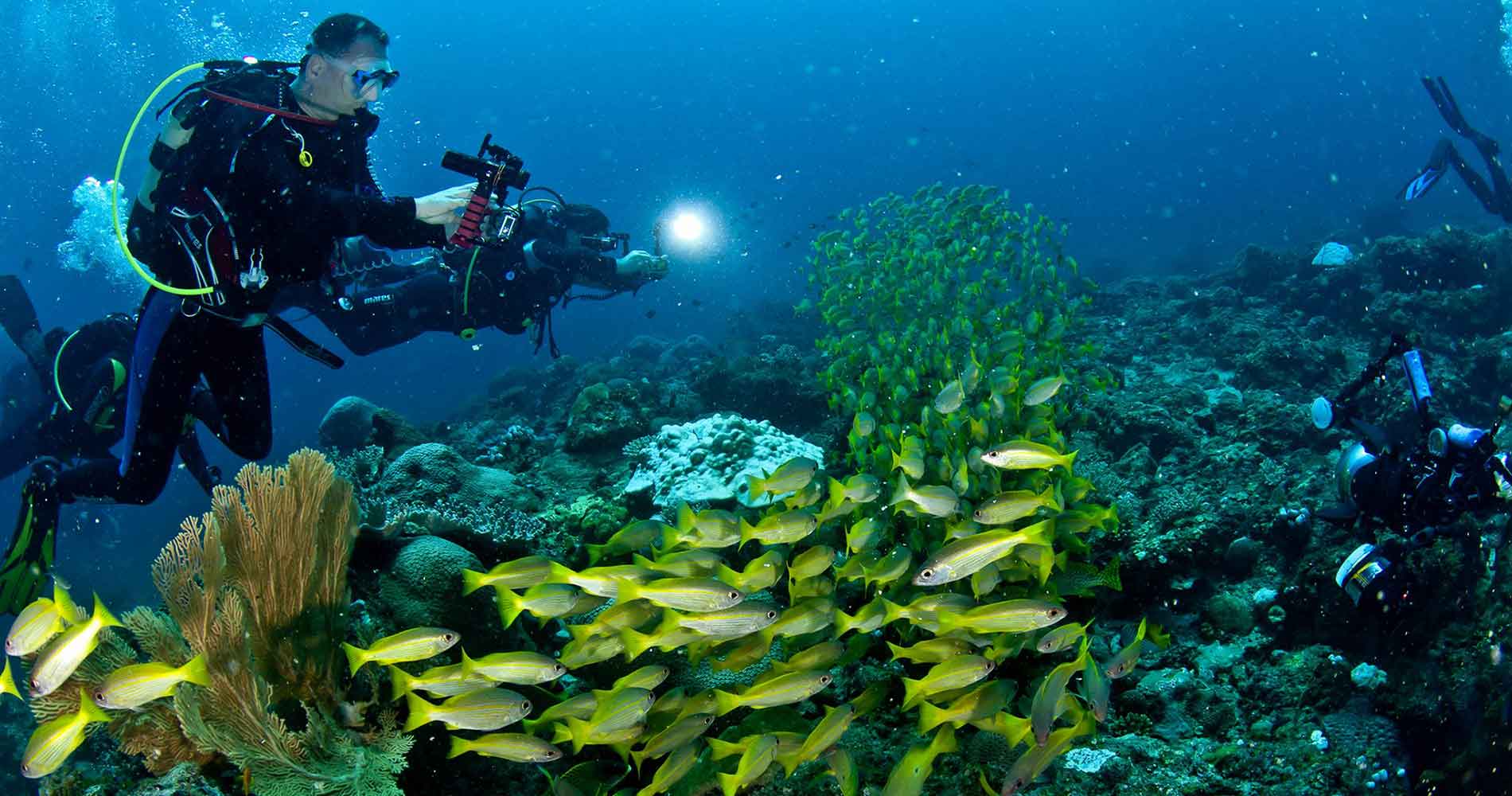 Manta Diving Nosy Be - Immersioni