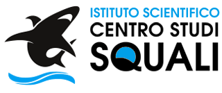 Manta Diving - Nosy Be - Centro Studi Squali