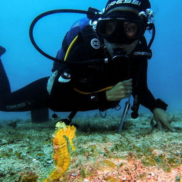 Manta Diving - Nosy Be - Muck Dive