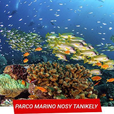 Manta Diving - Nosy Be - Parco marino Nosy Tanikely