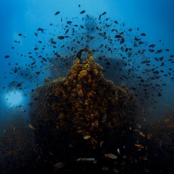 Manta Diving - Nosy Be - Relitti