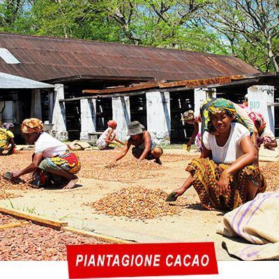 Manta Diving - Nosy Be - Escursioni Terra - Piantagione Cacao